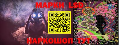 дурь Сланцы