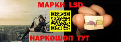 дурь Сланцы