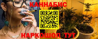дурь Сланцы