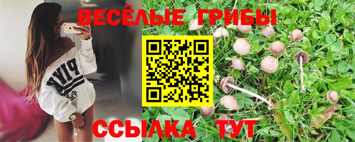 Югорск  Псилоцибиновые грибы Cubensis  Вход с VPN 